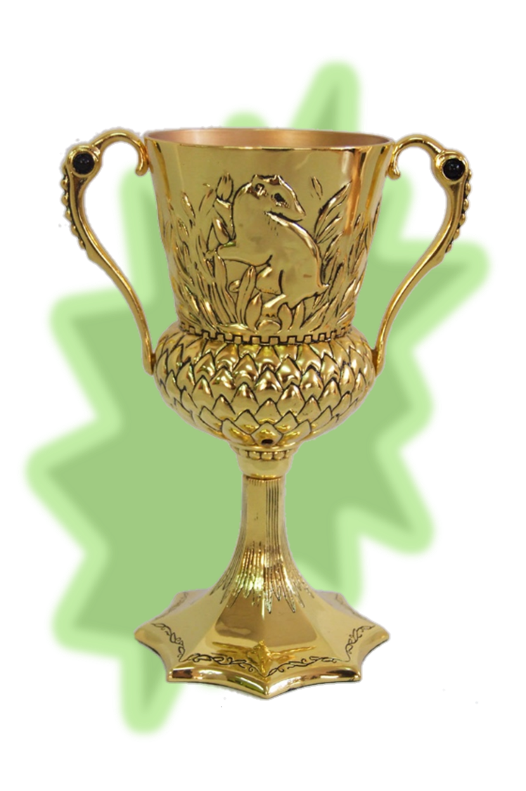 Helga Hufflepuff's Cup