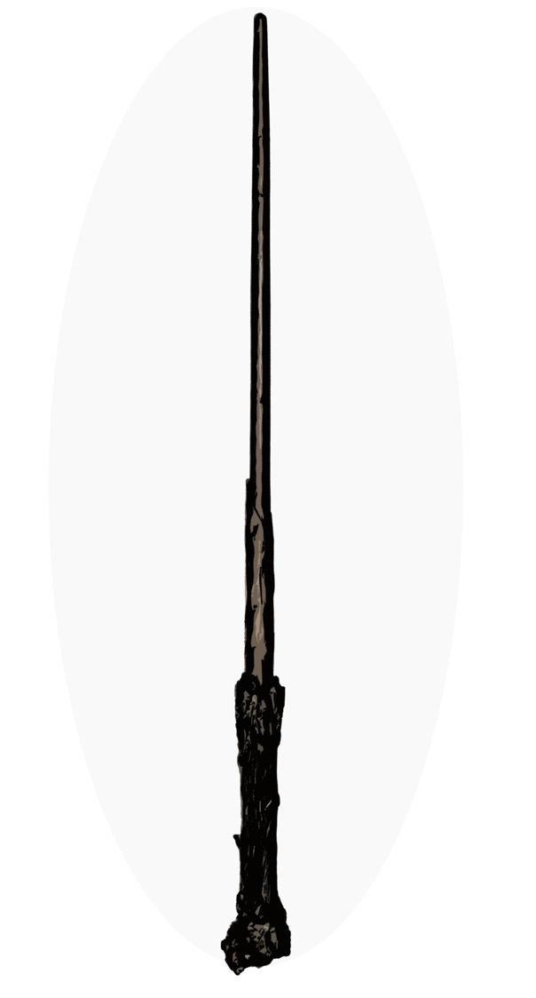 Harry's Wand